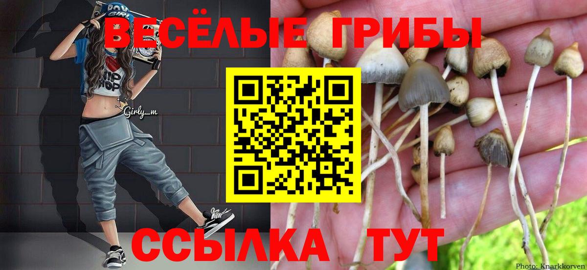 Галлюциногенные грибы Psilocybine cubensis  Вход с VPN  Джанкой 